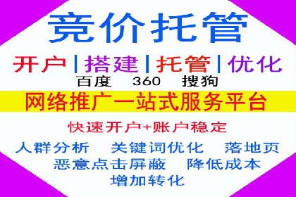 百度推广运营实战：成功案例解析